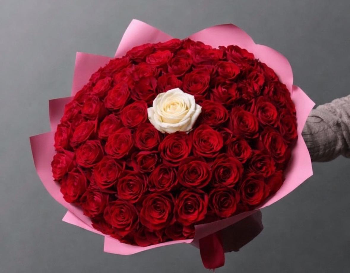 51gb. Sarkanas rozes ar balto smaidu